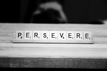 Image result for persevere